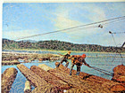Vintage Wooden Jigsaw Puzzle - The Loggers  575 Pieces