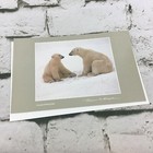 Polar Expressions By Thomas D Mangelsen Wildlife Photography Card Vtg 1992