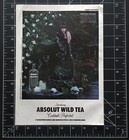Absolut Wild Tea Vodka Magazine Advertisement Print Ad Recipe 2011 Karen O