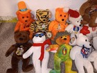 Celebrity Bears Born A Star Lot 