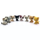 5pcs lot Littlest Pet Shop Toys Lps Toy Rare Kitty All Random Send From Old Cats