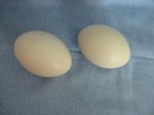 2 Rhea Egg Shells  Empty  Well Cured For Crafts Or Collection   Very Nice 
