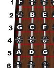 Upright Standup Bass Fingerboard Instructional Poster Notes Theory Wall Chart