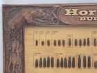 Vintage Hornady Bullet Advertising Display Cartridge Board Grand Island Nebraska
