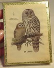 Sealed Box Of 50 Antioch Bookplates Ural Owls Design New Old Stock  1 Book Plate