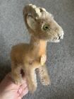 Antique Vintage Steiff  rocky  Goat  Ram W  Chest Tag Very Nice 