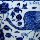 Collectable Art Chinese Hand Painting Blue white Porcelain Peacock Vase