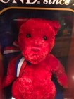 2004 Gund Plush Bear  Collector s Bear In Orig Box