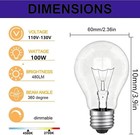 100 Watt Incandescent Light Bulbs  A19 Clear Incandescent Rough Service Light   