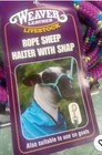 Weaver Leather Poly Rope Sheep Goat Halter With Snap  Teal raspberry lime