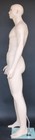 6 3  Tall Male Muscular Body Fullsize Mannequin Skintone Makeup M796ft  40 31 40