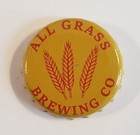 100 Yellow Beer Bottle Caps Allgrass  crimped  Used  Crown Caps