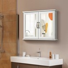 Bathroom Medicine Cabinet 2-tier Wall-mounted Mirror Storage Cabinet W handles