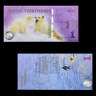 14pcs set Arctic Territorise Plastic Banknotes Polar Bear Arctic Animals Notes