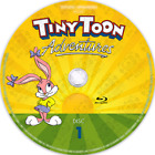 Tiny Toon Adventures - Complete Series - 98 Eps - 3 Seasons - Blu -  New