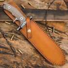 Rambo Licensed Last Blood Sylvester Stallone Hunting Fixed Blade Bowie Knife