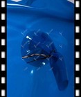 Latex Catsuit Vacuum Style Back Short Zip Customized 0 4mm Thickness Z1