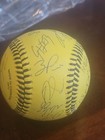 2025 Savannah Bananas Team Signed Baseball Autographed Ball Complete Signatures