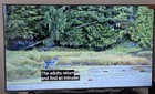 Tcl 55  Q6 4k Uhd Hdr Qled Smart Tv With Google Tv - New 2024 Model