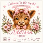 Personalized Baby  animal Birth Announcement Artwork Printable