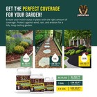 Lockdown Sticky Mulch Glue For Landscaping  64 Ounce  - Lasts Up To 2 Years  