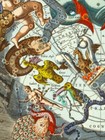1660s    celestial Chart Of The Zodiac    Vintage Style Astrology Map - 24x28