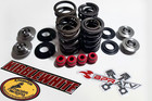 Suzuki Ltr 450 Kibblewhite Intake Exhaust Valves Titanium Spring Kit   Red Seals
