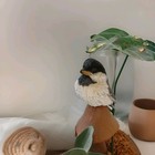 Black Capped Chickadee Handcarved Perched On Mushroom Wood Base Artist D berari