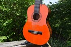 Washburn Classical Acoustic Guitar - C5wsh-a - Hsc