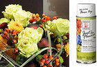 133 Fresh Green Just For Flowers