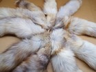 Xxl Golden Island Fox Tail With Clasp  Professional Tanned real Usa Fur keychain