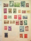 Argentina  263 Stamps From Earliest To 1970s On Vintage Homemade Stock Sheets
