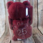 Salvino s Bamm Beano s Mark Mcgwire  25 red   1998  Promo Beanie Bear In Case