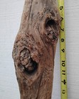 2 Driftwood Pieces Diy Craft Wood Rustic Decor