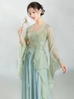 Chinese Classical Dance Dress Half Skirt Chiffon Stage Performance Costume Women