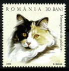 Cats  Beautiful Mnh Set Of 6 Stamps  Year 2006  Beautiful Set