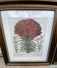 Pair Of Antique Prints 