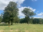 Valley Forge Memorial Gardens Four Burial Plots - Lot 162-a Section 4 Sp 1-2-3-4