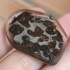 10 6g Sericho Pallasite Meteorite Slice From Kenya