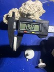 100  Cured Reef Disks For Live Coral Frag Propagation 1 39 Inch Round