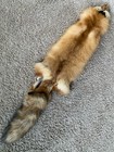 Xl Wild Red Fox Pelt Fur Hide Tanned Top Quality Log Cabin Decor Man Cave Art