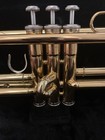 Yamaha Ytr200adii Advantage Gold Brass Trumpet With Mouthpiece case