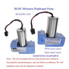 Dc12v Brushless Motor Air Pump Vacuum Pump Dual Head Diaphragm Pump Diy Projects