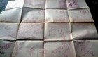 Vtg Transfer Pattern Peacock Motifs  Sewing Pattern   Bonus Uncut