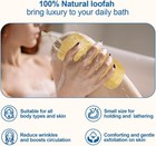 Natural Loofah Sponge Set  4 Pack  - 6  Exfoliating Body Scrubber