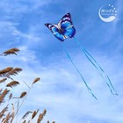 Butterfly Kite For Kids   Adults Easy To Fly  Large Single Line Kites With 30   