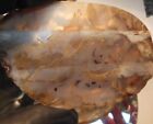 Montana Moss Agate Lapidary Slabs  202g Rough  Dendritic  Scenic  Landscape 