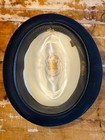 Vintage Knox Custom Fedora 7 3 8 Black Fur Felt Custom Edge