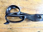 Circa 1900 Large 15 1 2    Inches Tailor-dressmaker-fabric Shears scissors
