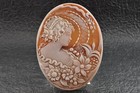 10 Items   Vintage Shell Cameo White And Brown Color  total 305 0ct  With Case 